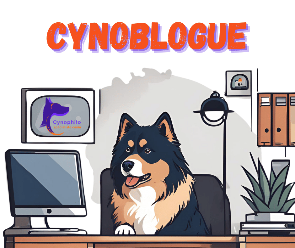 image AI d'un chien assis devant un ordinateur avec le logo Cynophilo et la mention Cynoblogue