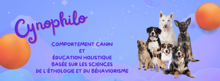 banner Cynophilo : éducation et comportement canin