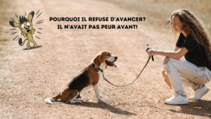 Femme accroupie avec son Beagle en laisse. Le Beagle est assis et on voit la mention il refuse d'avancer.