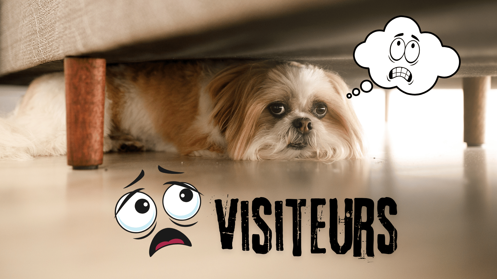 chien couché sous le canapé avec un regard appeuré et le mot visiteurs écrit en caractères reflétant la peur