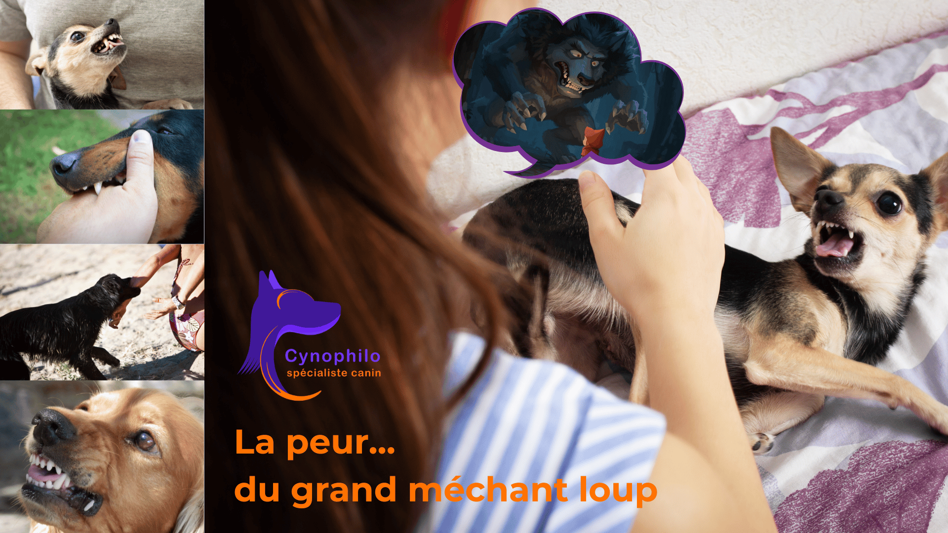 photos montage de chiens agressifs